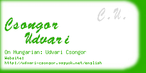 csongor udvari business card